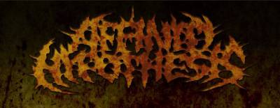 logo Affinity Hypothesis